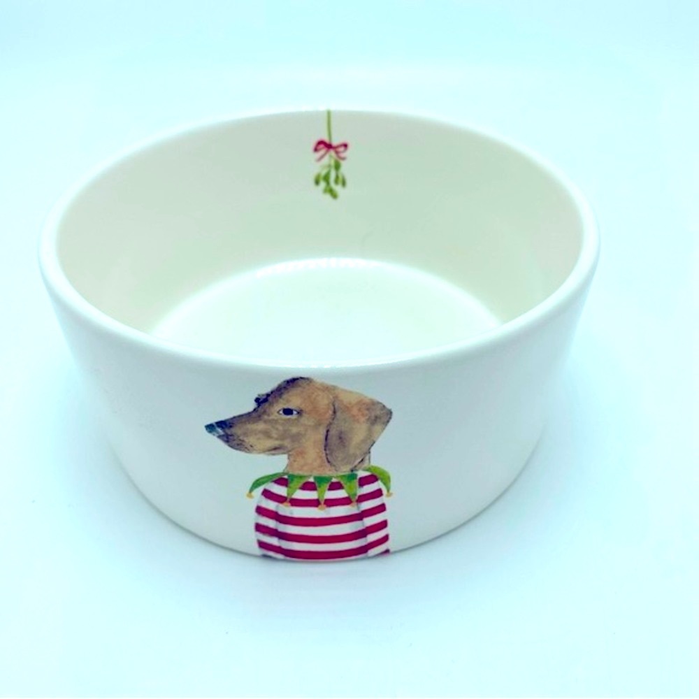 Rae Dunn Mistletoe Dog Large Pet Dish
